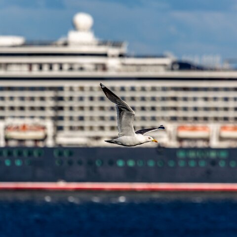 Cunard-Line-Queen-Elizabeth-13-2013-08-02