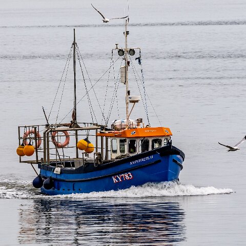 Fishing-Boat-Amphitrite-II-4