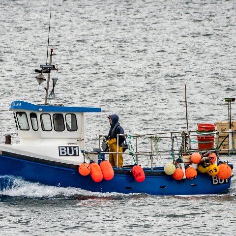 Fishing-Boat-Ellie-A-3