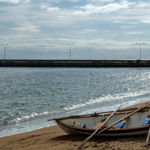River-Forth-Rowing-Boat-Anstruther-6