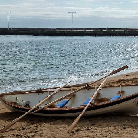 River-Forth-Rowing-Boat-Anstruther-7
