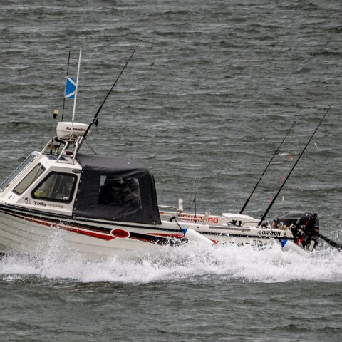 River-Forth-Cabin-Cruiser-3
