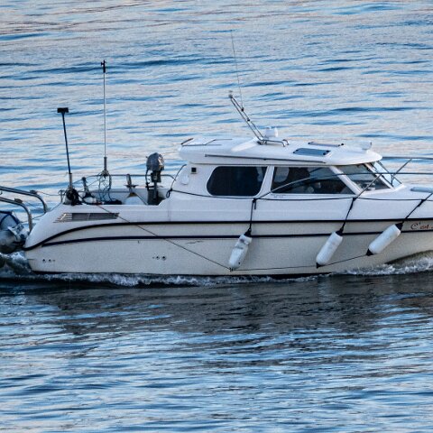 River-Forth-Cest-La-Vie-6