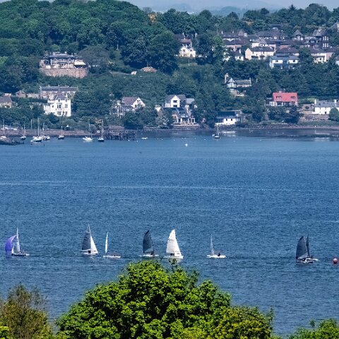Dinghy-Race-River-Forth-2024-05-18-12