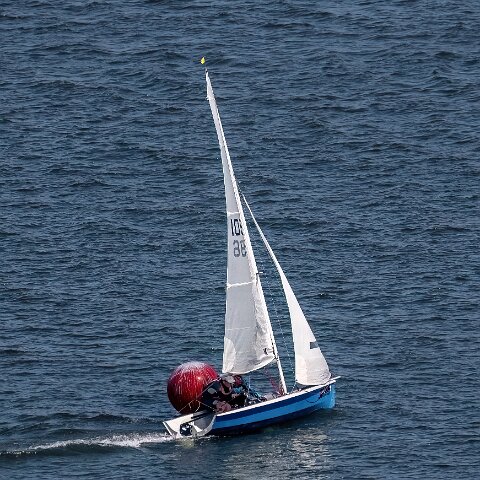 Dinghy-Race-River-Forth-2024-05-18-15
