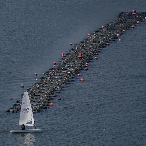 Dinghy-Race-River-Forth-2024-05-18-2