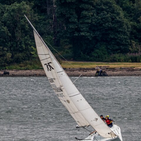 River-Forth-706N0-10