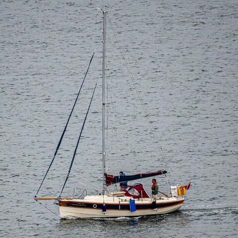River-Forth-Cornish-Cutter-2026-06-08