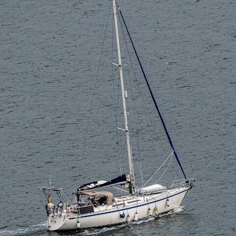 River-Forth-Moody-2026-06-08