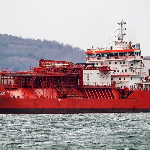 Coral-Fraseri-Braefoot-2022-02-12-10