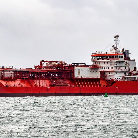 Coral-Fraseri-Braefoot-2022-02-12-15