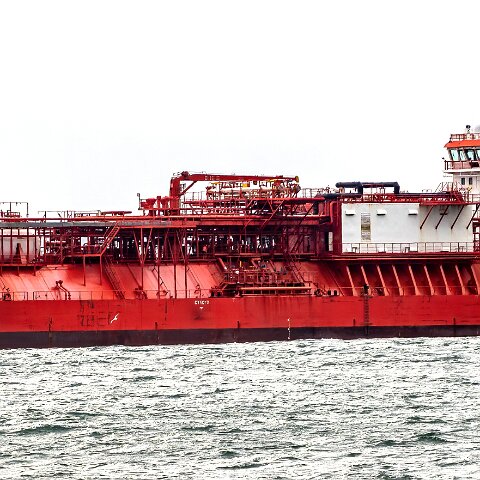 Coral-Fraseri-Braefoot-2022-02-12-18