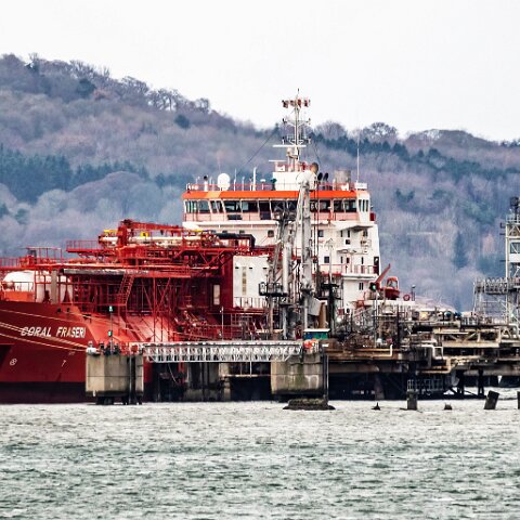 Coral-Fraseri-Braefoot-2022-02-12-2