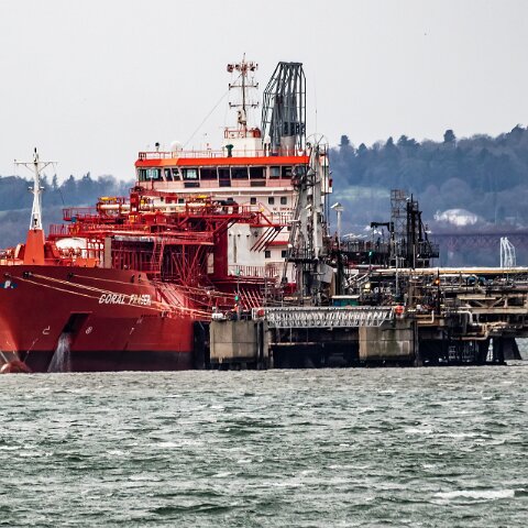 Coral-Fraseri-Braefoot-2022-02-12-3