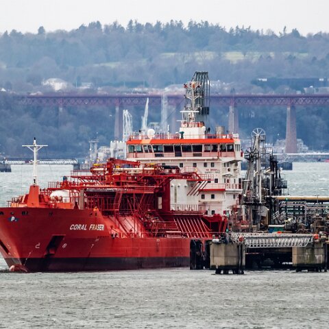 Coral-Fraseri-Braefoot-2022-02-12-6