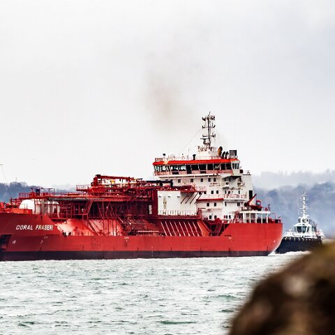 Coral-Fraseri-Braefoot-2022-02-12-9