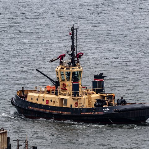 Fidra-Braefoot-2021-05-13-15-34-23