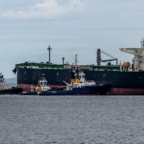 Tugs-2025-05-02-1