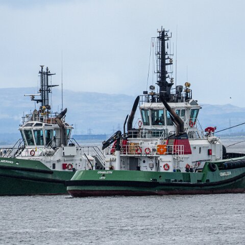 Tugs-2026-04-19-2