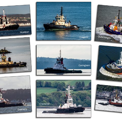 Tugs-On-The-Forth