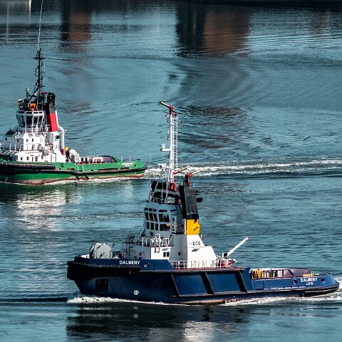 Dalmeny-2022-08-11-4