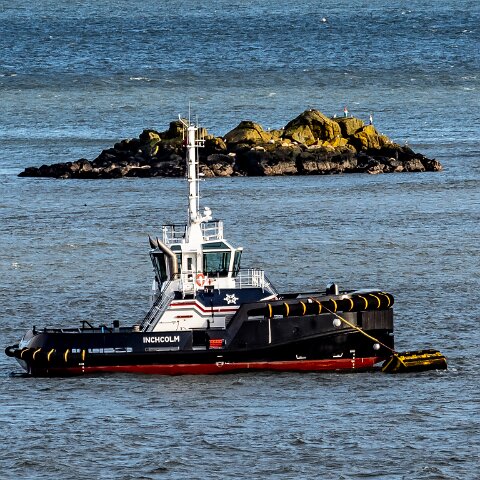 Inchcolm-2021-02-18-1