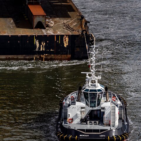 Inchcolm-2021-04-11-2