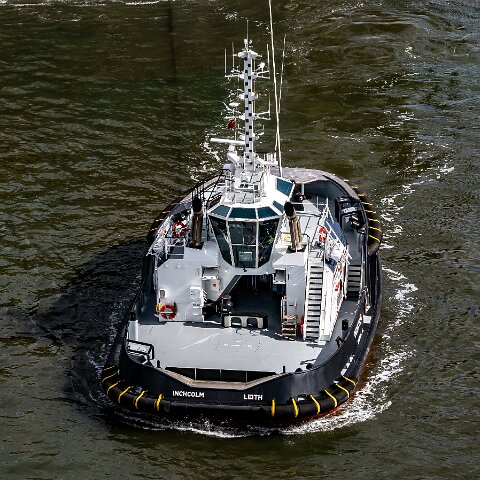 Inchcolm-2021-04-11-4