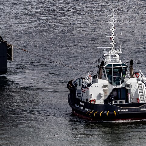 Inchcolm-2021-04-11-6