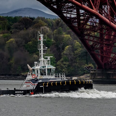 Inchcolm-2021-05-04-1