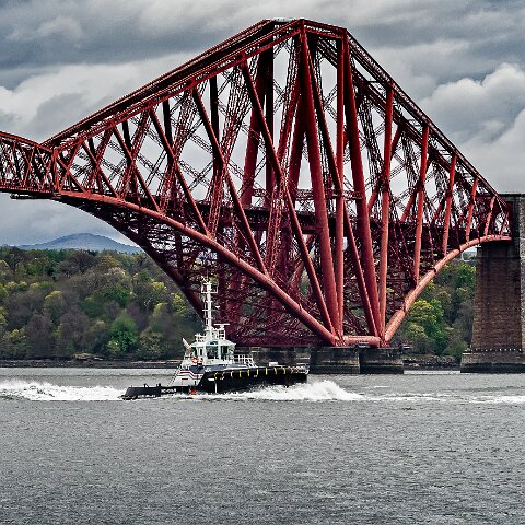 Inchcolm-2021-05-04-2