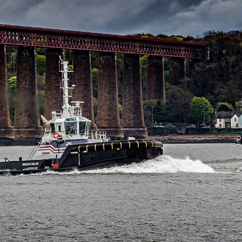 Inchcolm-2021-05-04-3