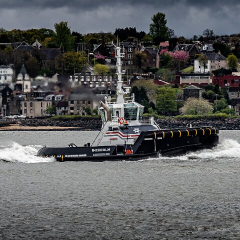 Inchcolm-2021-05-04-4