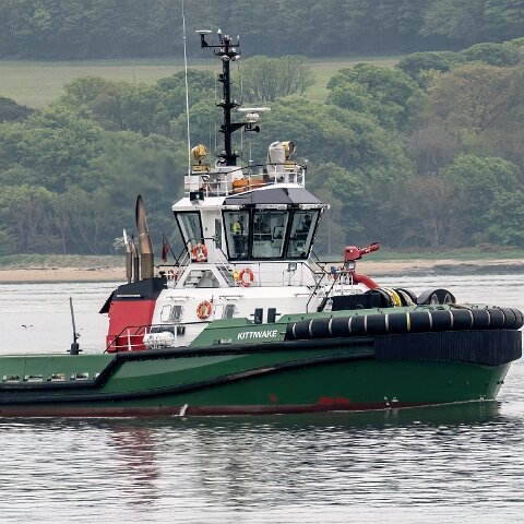 Kittiwake-2023-05-20-1