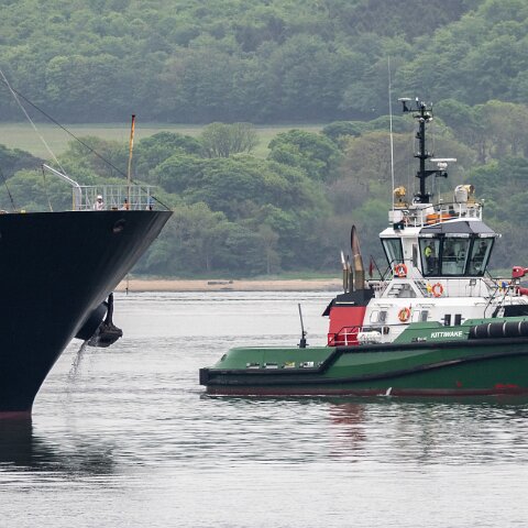 Kittiwake-2023-05-20-2