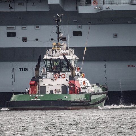 Kittiwake-2023-07-21-1