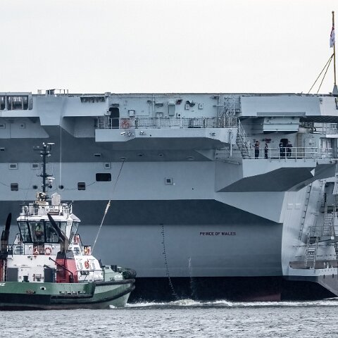 Kittiwake-2023-07-21-2