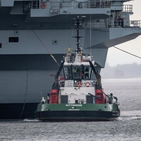 Kittiwake-2023-07-21-3