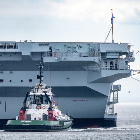 Kittiwake-2023-07-21-4