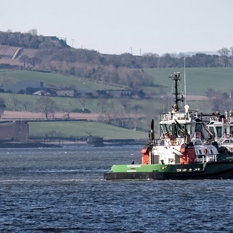 Kittiwake-2024-03-24-1