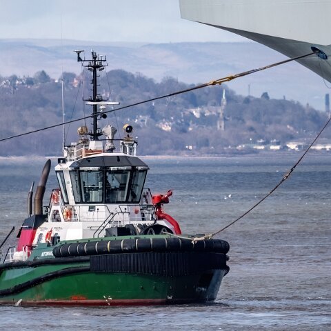 Kittiwake-2024-03-24-3