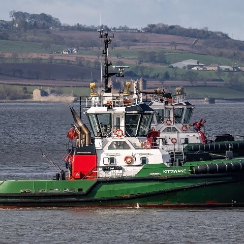 Kittiwake-2024-03-24-4