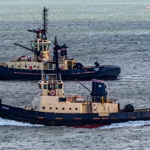 Oxcarand-Fidra-2013-08-02