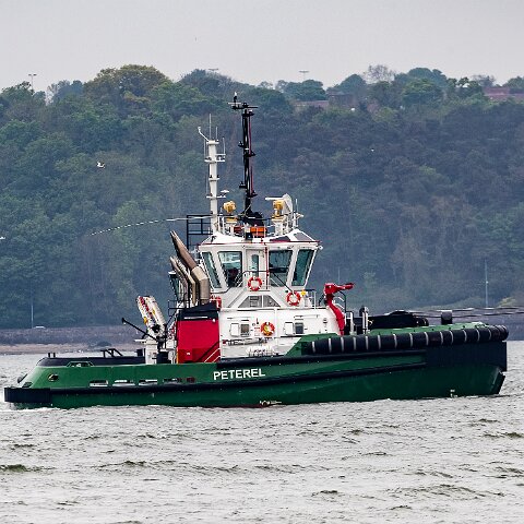 Peterel-2021-06-03-4