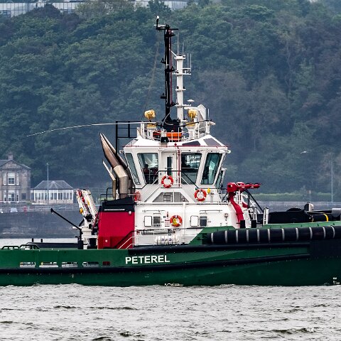 Peterel-2021-06-03-5