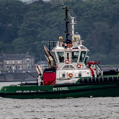 Peterel-2021-06-03-6