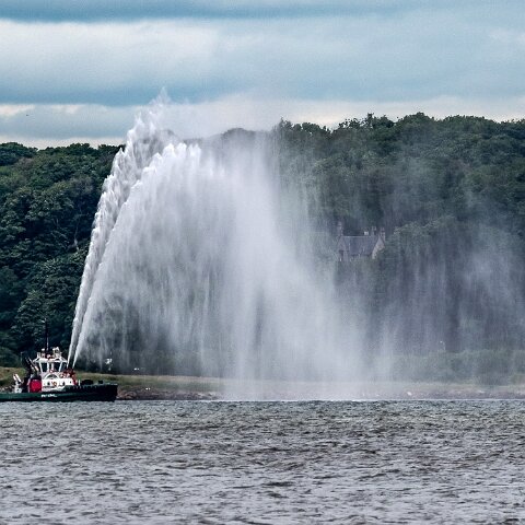 Peterel-2021-06-24-1