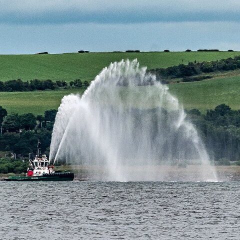 Peterel-2021-06-24-2