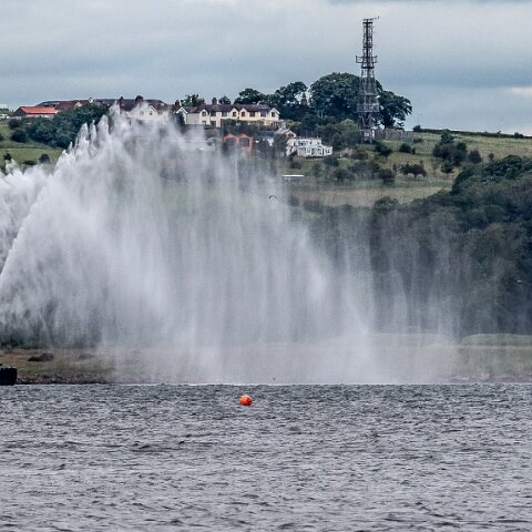 Peterel-2021-06-24-3