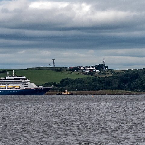 Peterel-2021-06-24-4